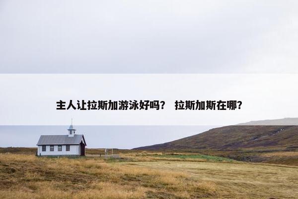 主人让拉斯加游泳好吗？ 拉斯加斯在哪？