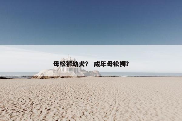 母松狮幼犬？ 成年母松狮？