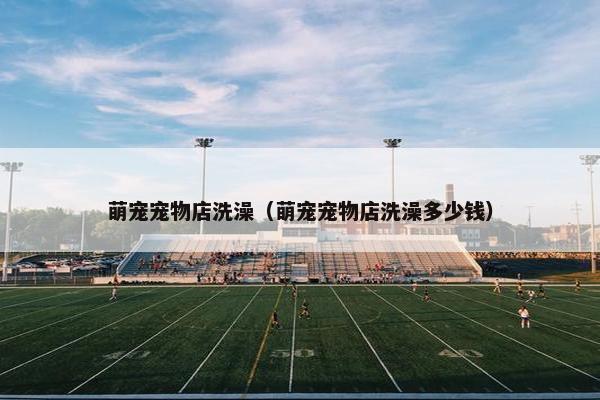 萌宠宠物店洗澡（萌宠宠物店洗澡多少钱）