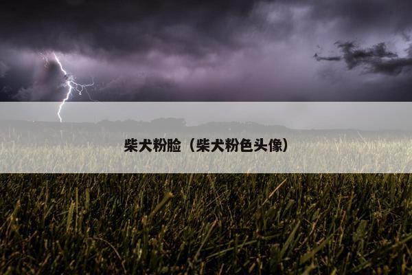 柴犬粉脸（柴犬粉色头像）