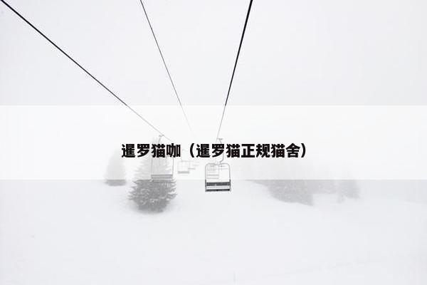 暹罗猫咖（暹罗猫正规猫舍）