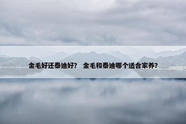 金毛好还泰迪好？ 金毛和泰迪哪个适合家养？