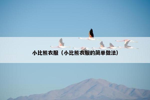 小比熊衣服（小比熊衣服的简单做法）