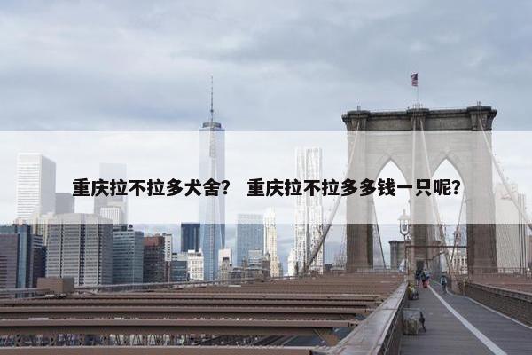 重庆拉不拉多犬舍？ 重庆拉不拉多多钱一只呢？