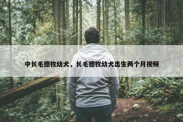 中长毛德牧幼犬，长毛德牧幼犬出生两个月视频