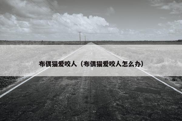 布偶猫爱咬人（布偶猫爱咬人怎么办）