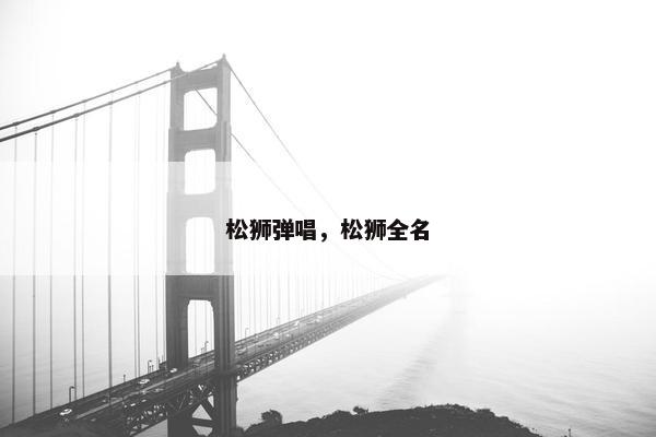 松狮弹唱，松狮全名