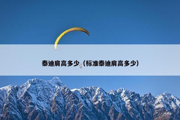 泰迪肩高多少（标准泰迪肩高多少）