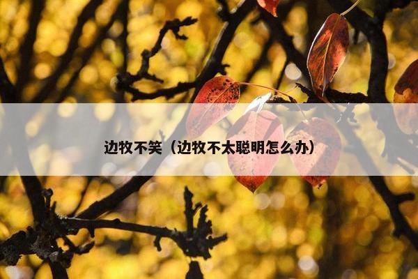 边牧不笑（边牧不太聪明怎么办）