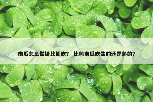 南瓜怎么做给比熊吃？ 比熊南瓜吃生的还是熟的？