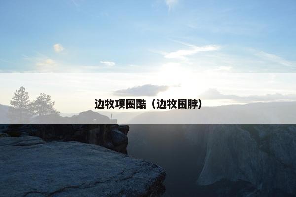 边牧项圈酷（边牧围脖）