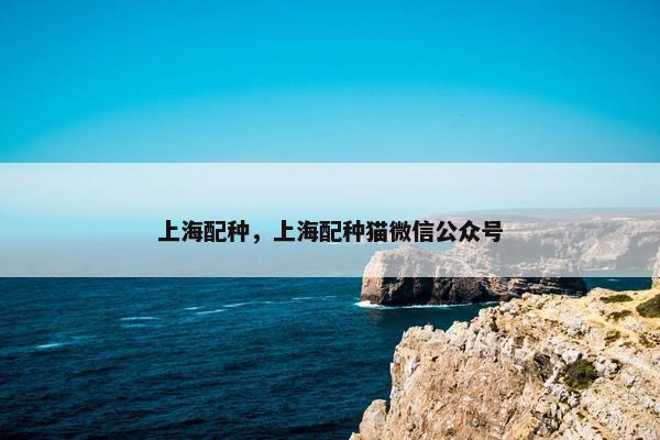 上海配种，上海配种猫微信公众号