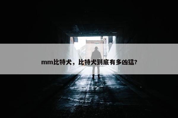mm比特犬，比特犬到底有多凶猛?