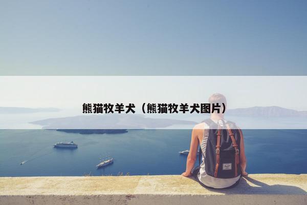 熊猫牧羊犬（熊猫牧羊犬图片）