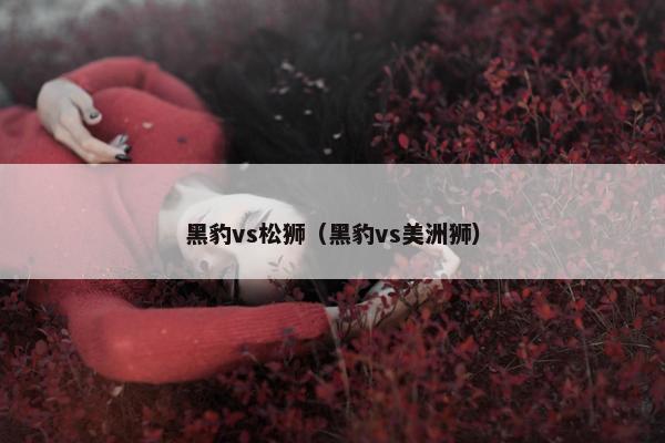 黑豹vs松狮（黑豹vs美洲狮）