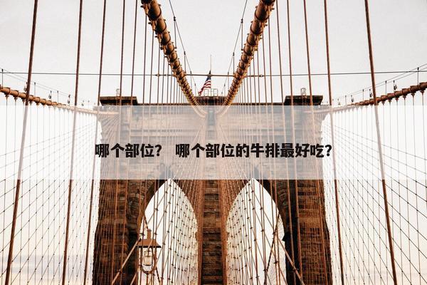 哪个部位？ 哪个部位的牛排最好吃？