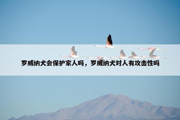 罗威纳犬会保护家人吗，罗威纳犬对人有攻击性吗