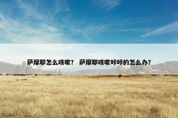 萨摩耶怎么咳嗽？ 萨摩耶咳嗽咔咔的怎么办？