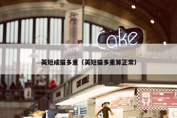 英短成猫多重（英短猫多重算正常）