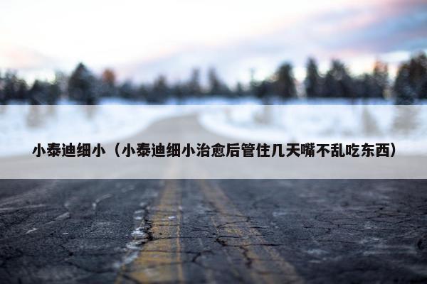 小泰迪细小（小泰迪细小治愈后管住几天嘴不乱吃东西）