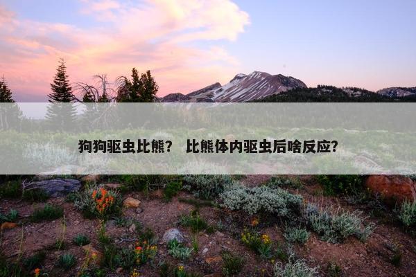 狗狗驱虫比熊？ 比熊体内驱虫后啥反应？
