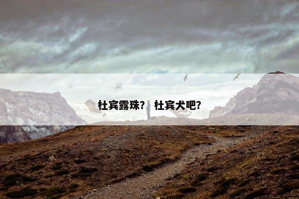 杜宾露珠？ 杜宾犬吧？