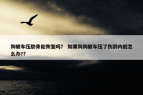 狗被车压肋骨能恢复吗？ 如果狗狗被车压了伤到内脏怎么办?？