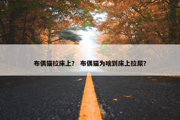 布偶猫拉床上？ 布偶猫为啥到床上拉尿？