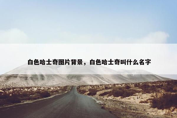 白色哈士奇图片背景，白色哈士奇叫什么名字