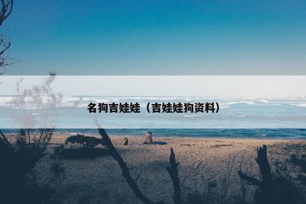名狗吉娃娃（吉娃娃狗资料）