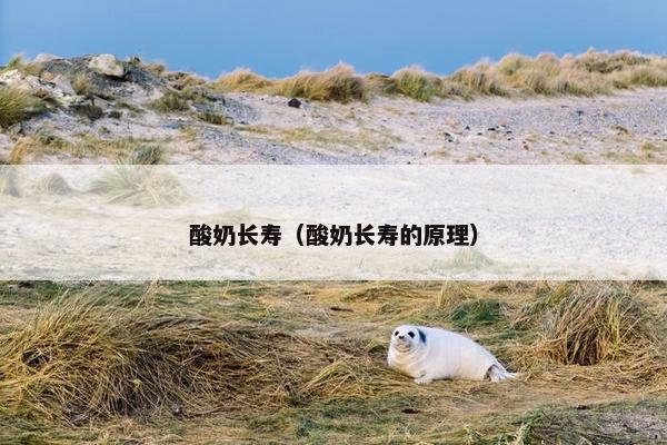 酸奶长寿（酸奶长寿的原理）