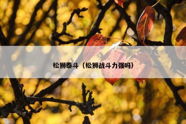 松狮泰斗（松狮战斗力强吗）