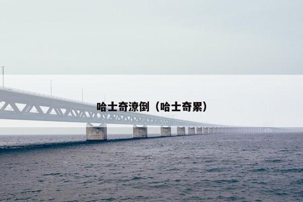 哈士奇潦倒（哈士奇累）