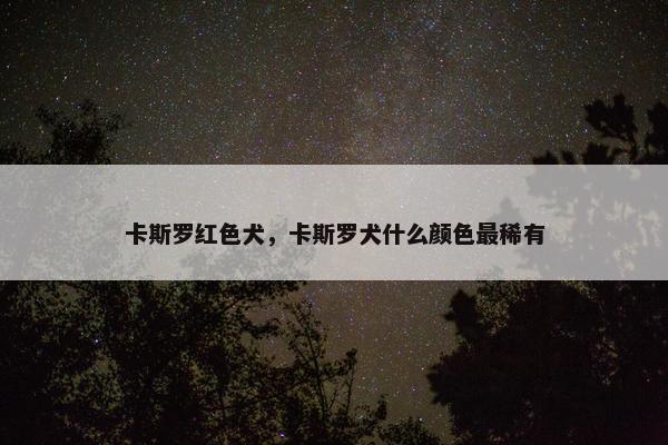 卡斯罗红色犬，卡斯罗犬什么颜色最稀有