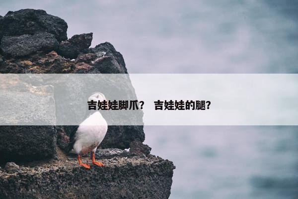 吉娃娃脚爪？ 吉娃娃的腿？