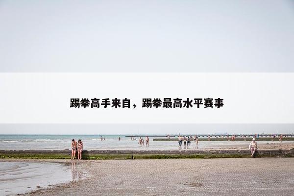踢拳高手来自，踢拳最高水平赛事