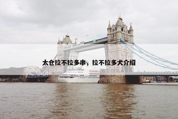 太仓拉不拉多串，拉不拉多犬介绍