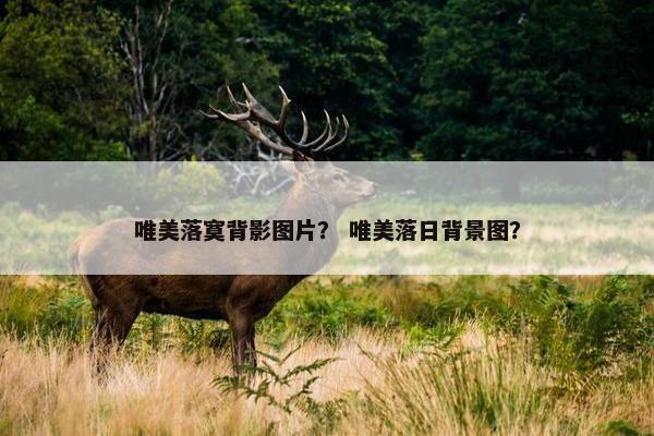 唯美落寞背影图片？ 唯美落日背景图？