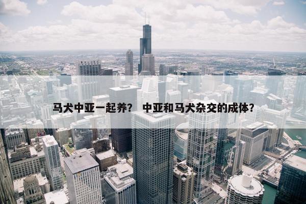 马犬中亚一起养？ 中亚和马犬杂交的成体？