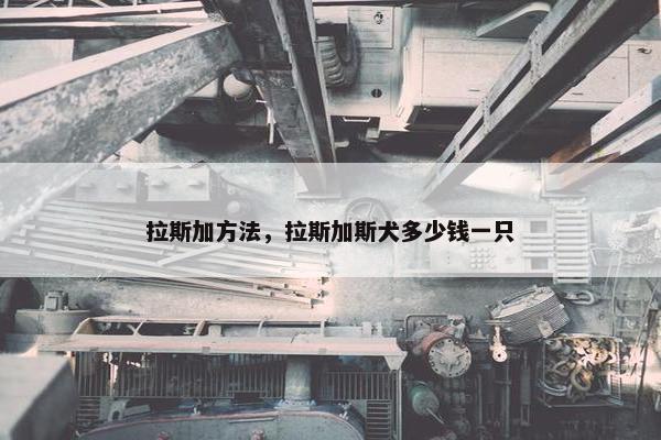 拉斯加方法，拉斯加斯犬多少钱一只