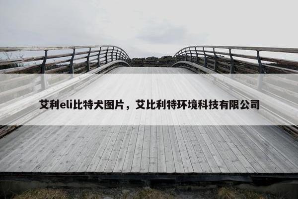 艾利eli比特犬图片，艾比利特环境科技有限公司