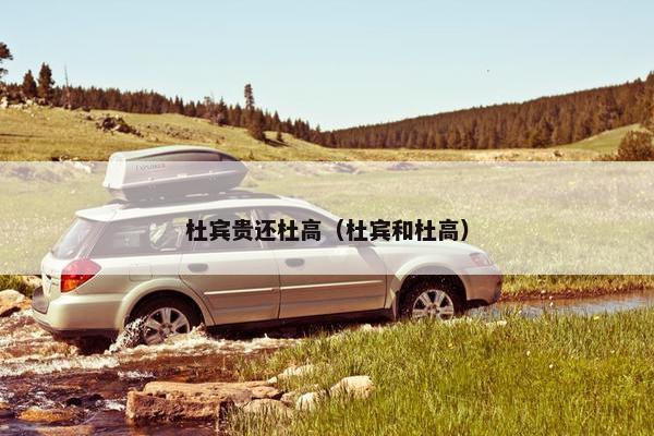 杜宾贵还杜高（杜宾和杜高）