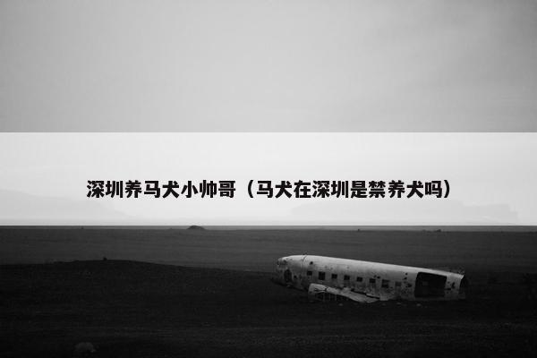 深圳养马犬小帅哥（马犬在深圳是禁养犬吗）