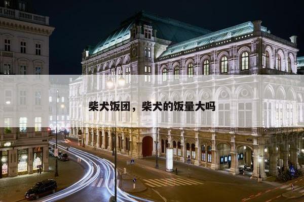 柴犬饭团，柴犬的饭量大吗