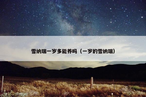 雪纳瑞一岁多能养吗（一岁的雪纳瑞）