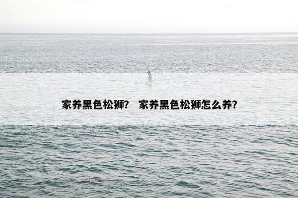 家养黑色松狮？ 家养黑色松狮怎么养？