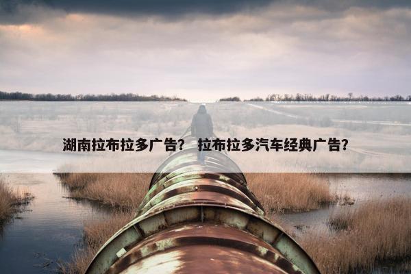 湖南拉布拉多广告？ 拉布拉多汽车经典广告？