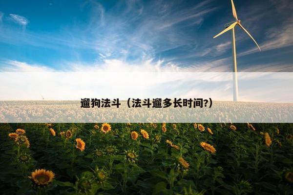 遛狗法斗（法斗遛多长时间?）