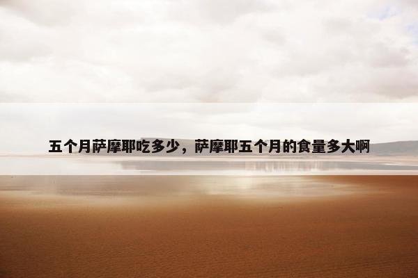 五个月萨摩耶吃多少，萨摩耶五个月的食量多大啊