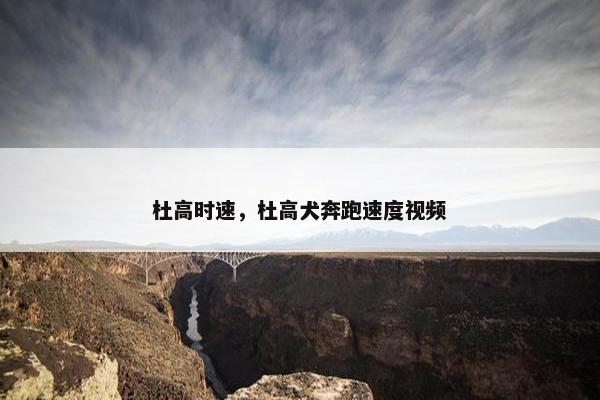 杜高时速，杜高犬奔跑速度视频